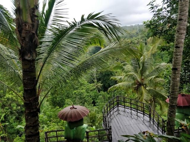 D Alas Warung Restaurant